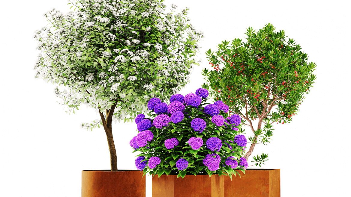 Suuret Corten-ruukut – näyttävyyttä ja monipuolisuutta