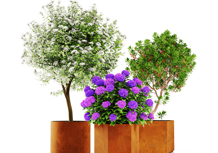 Suuret Corten-ruukut – näyttävyyttä ja monipuolisuutta